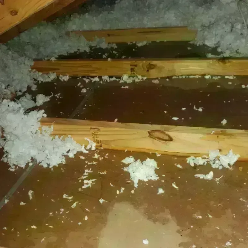 Attic Water Damage in Willard, UT