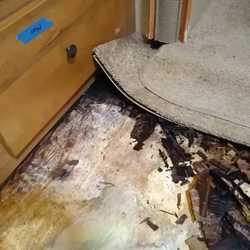 Wood Floor Water Damage in Willard, UT